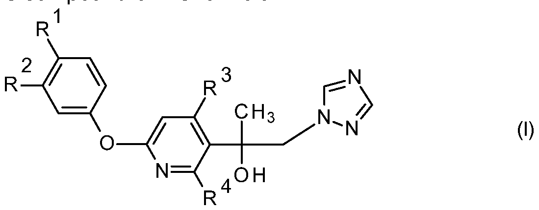 Figure imgf000002_0001