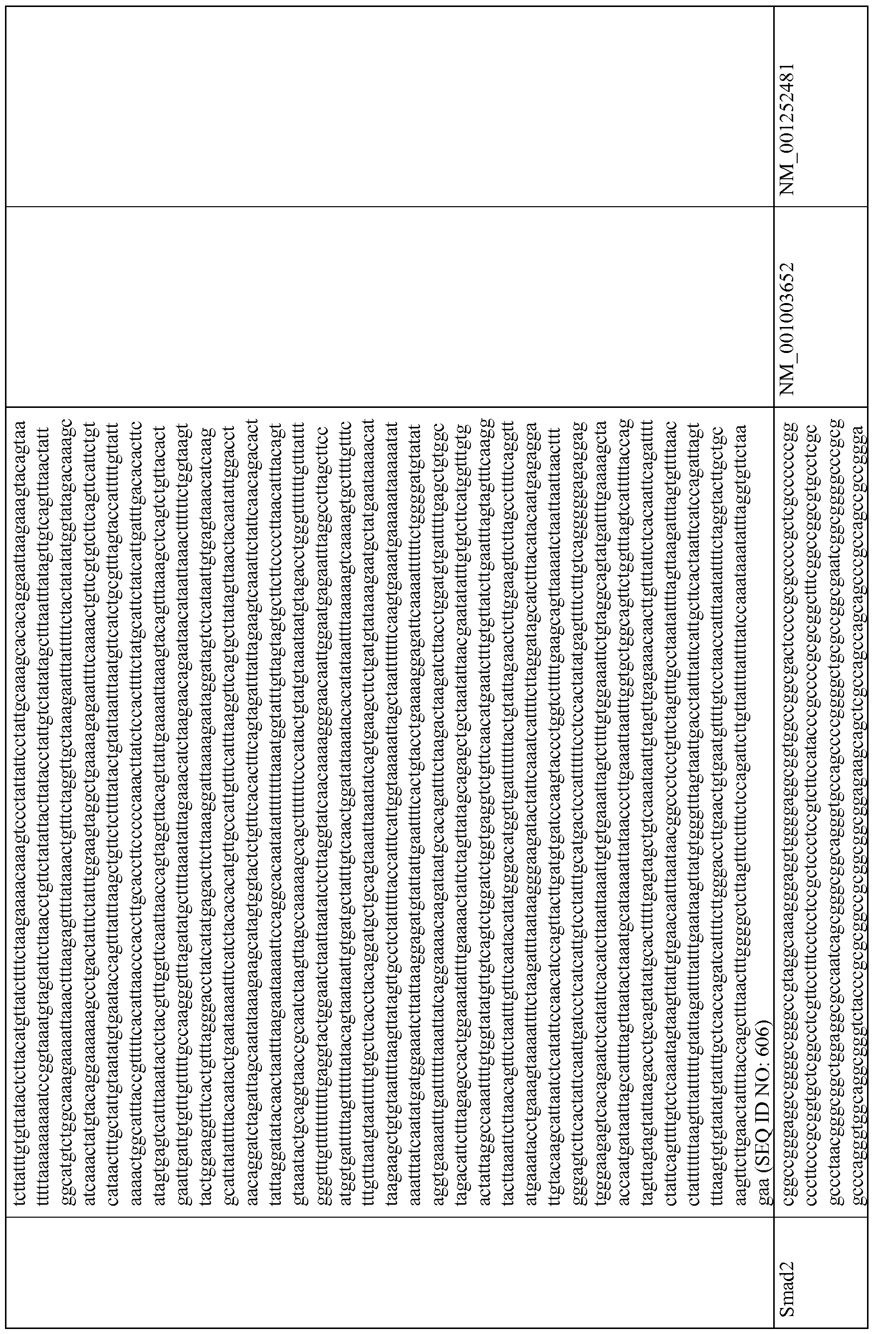 Figure imgf000024_0001