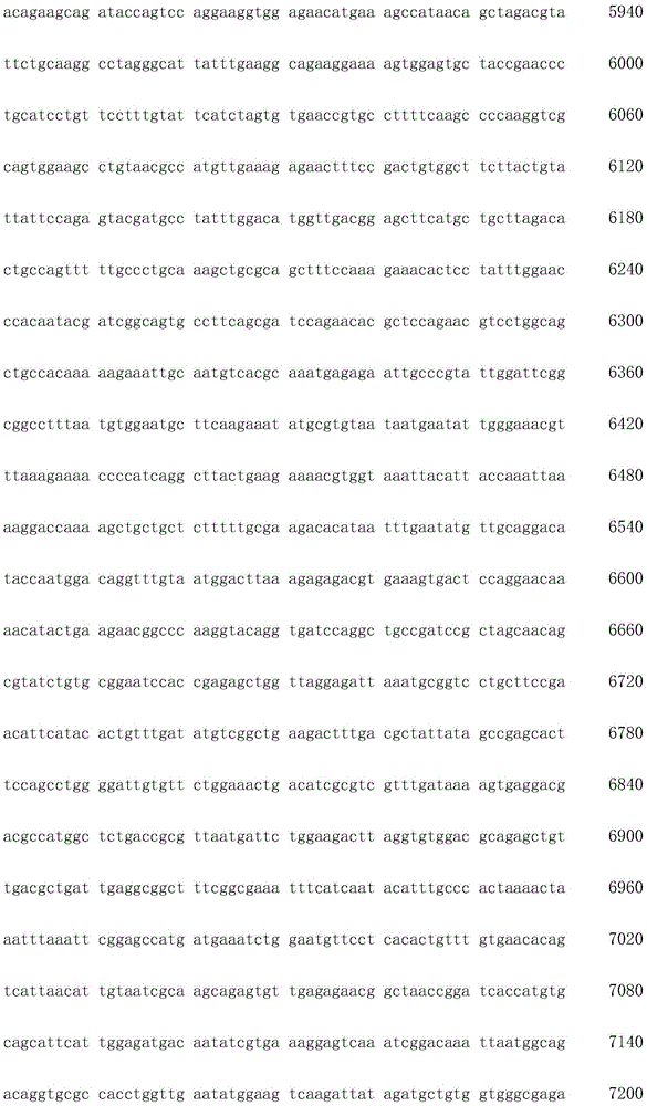 Figure IDA0002872168960002161