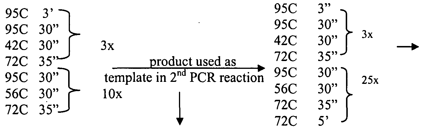 Figure imgf000171_0001