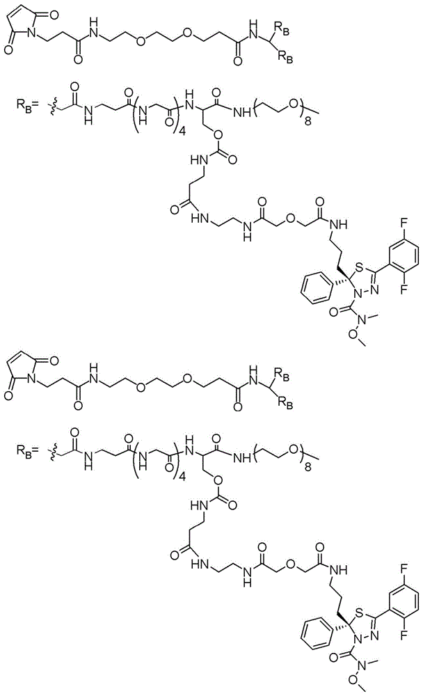 Figure BDA0003135424430001721