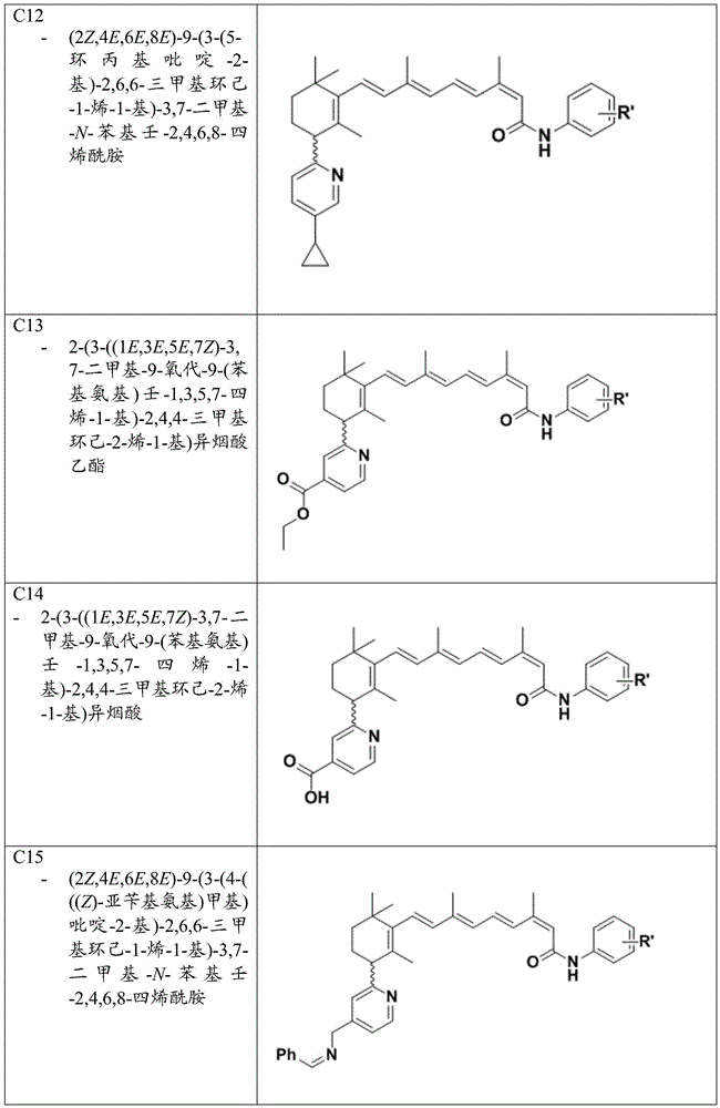 Figure BDA0003787763220000481
