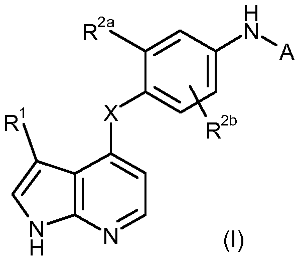 Figure imgf000006_0001