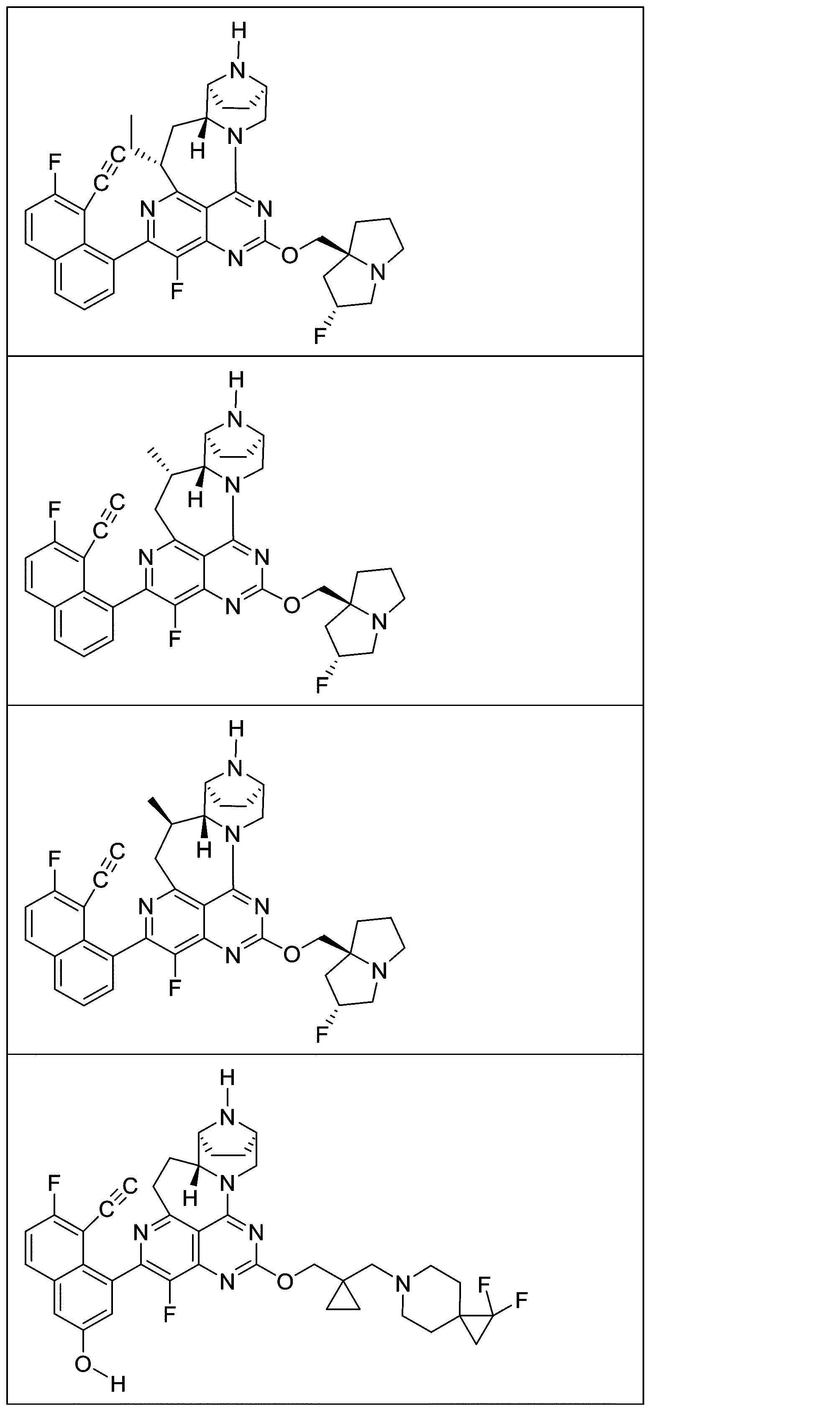 Figure 2025513258000988