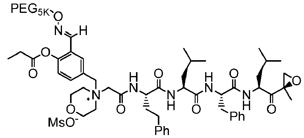 Figure imgf000015_0001
