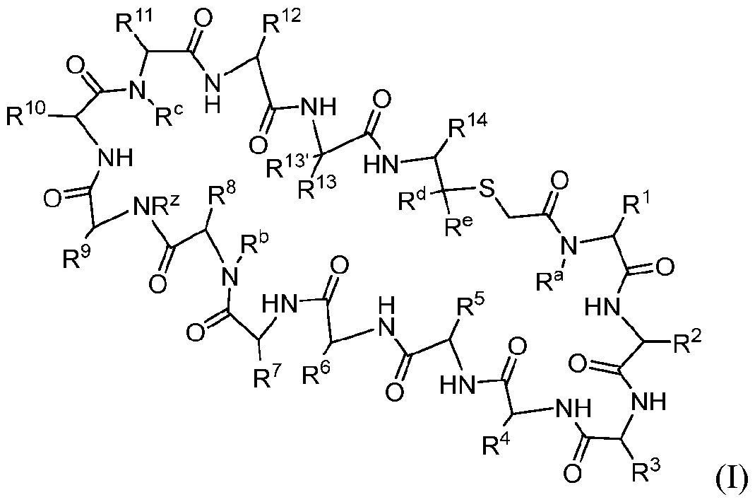 Figure imgf000004_0001