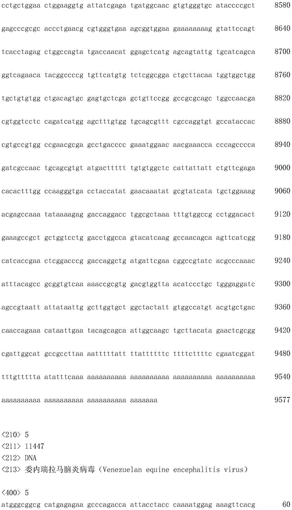 Figure IDA0002872168960000691