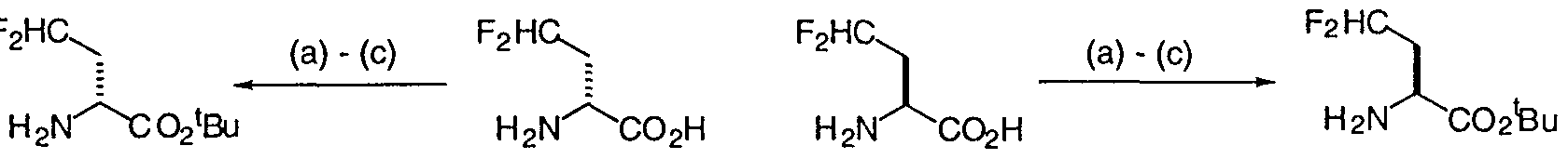 Figure imgf000038_0001