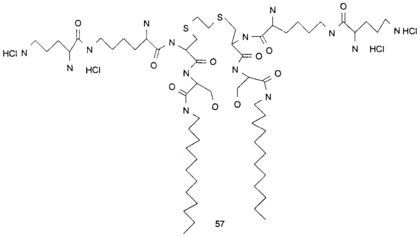 Figure imgf000025_0002