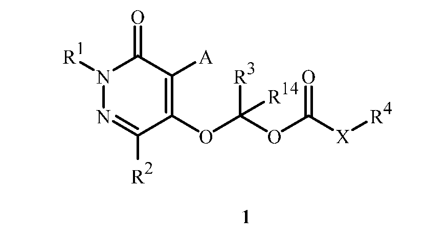 Figure imgf000003_0001