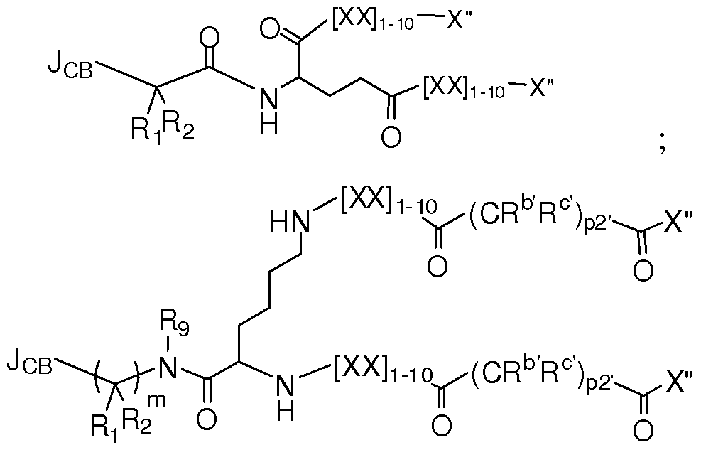 Figure imgf000075_0002