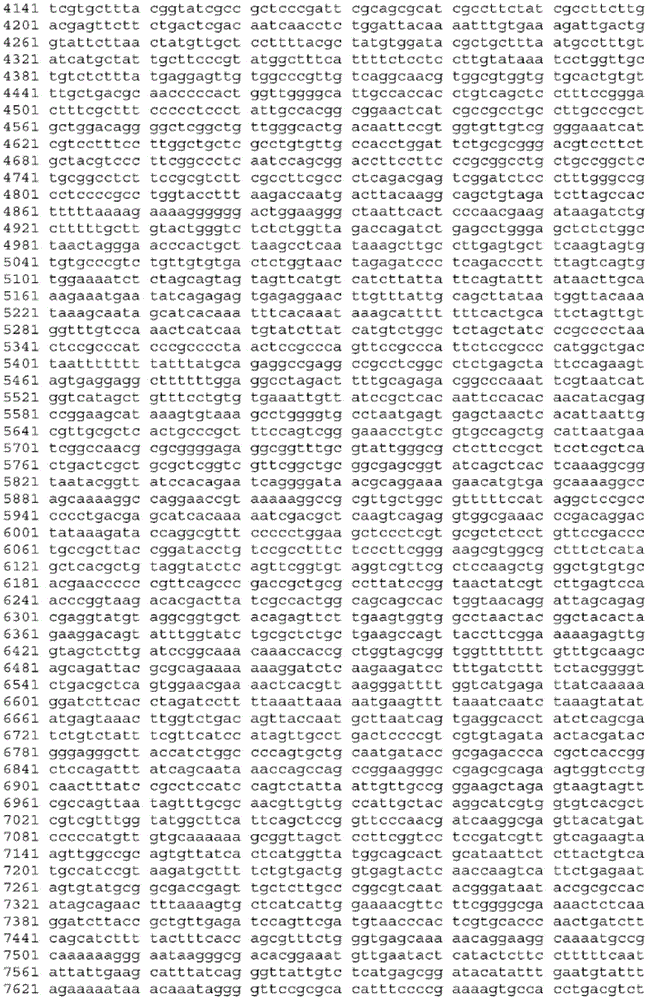 Figure BDA0003465582640001061