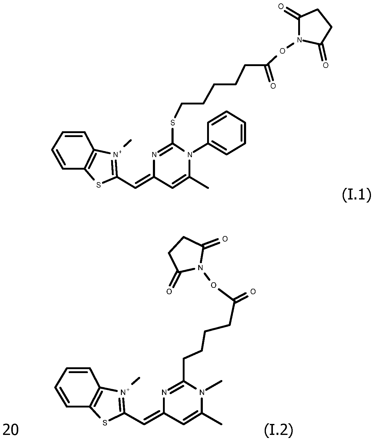 Figure imgf000010_0001