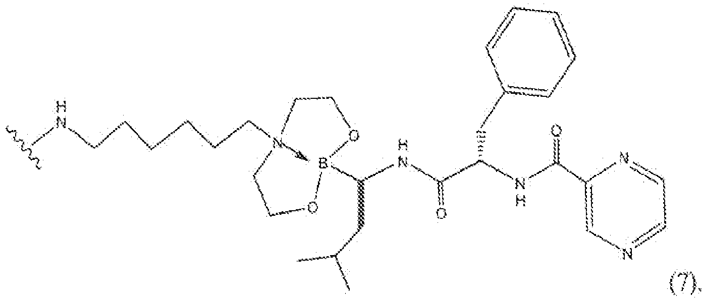 Figure imgf000565_0002