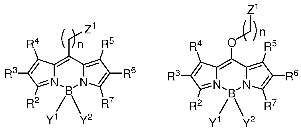 Figure imgf000043_0001