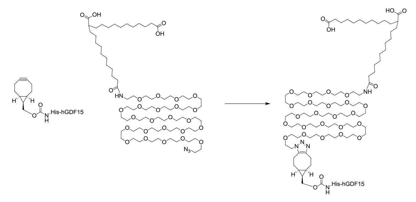 Figure 2022095757000137