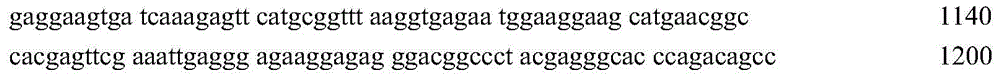 Figure GDA0004072109420000355