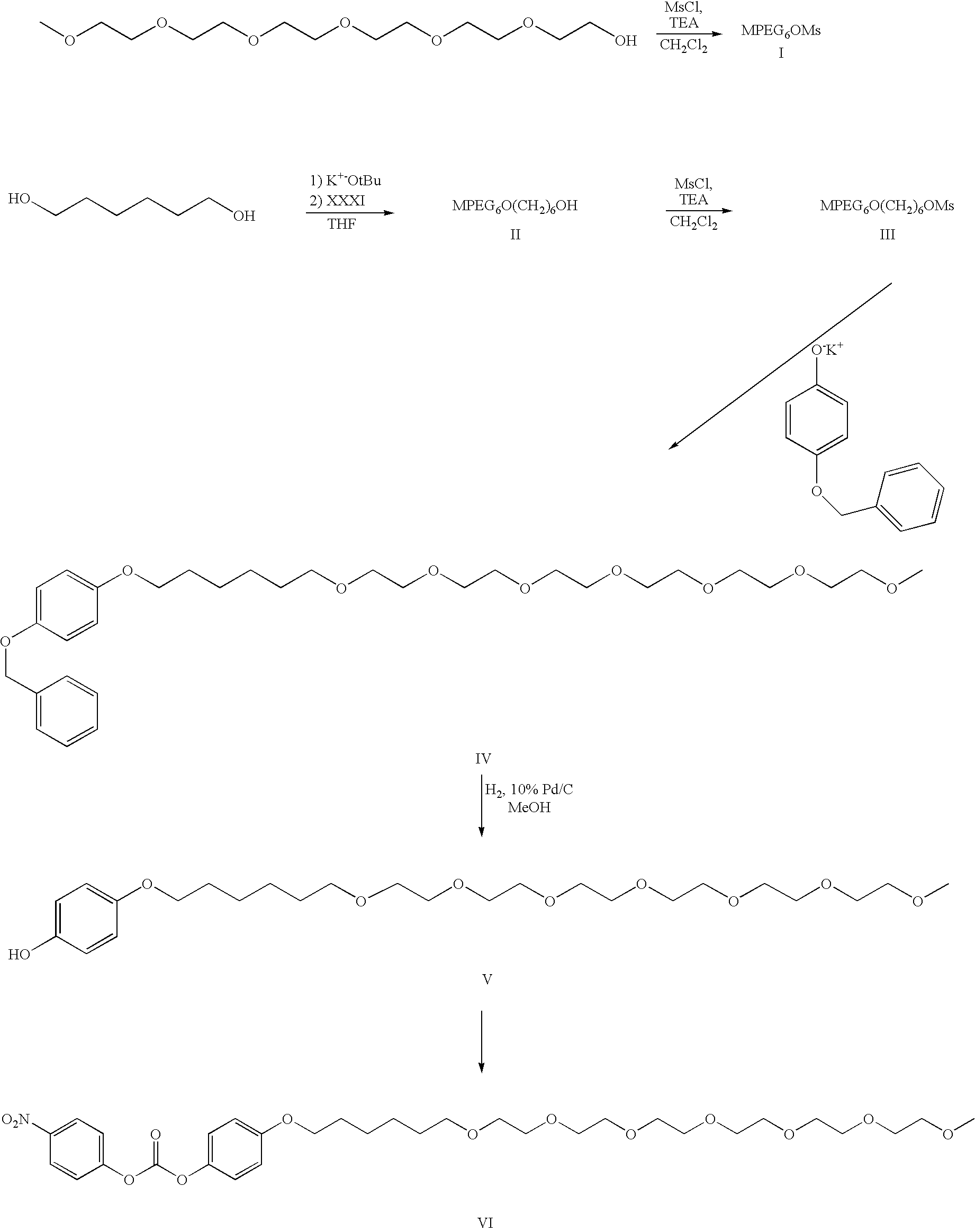 Figure US20080207505A1-20080828-C00045