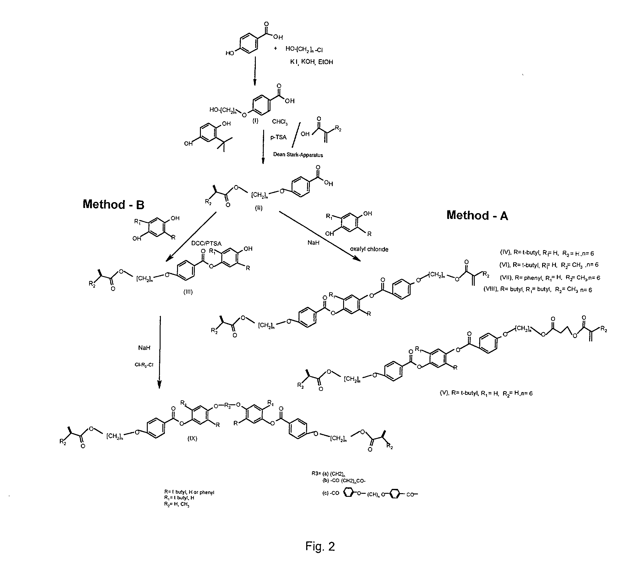Figure US20030125435A1-20030703-P00001