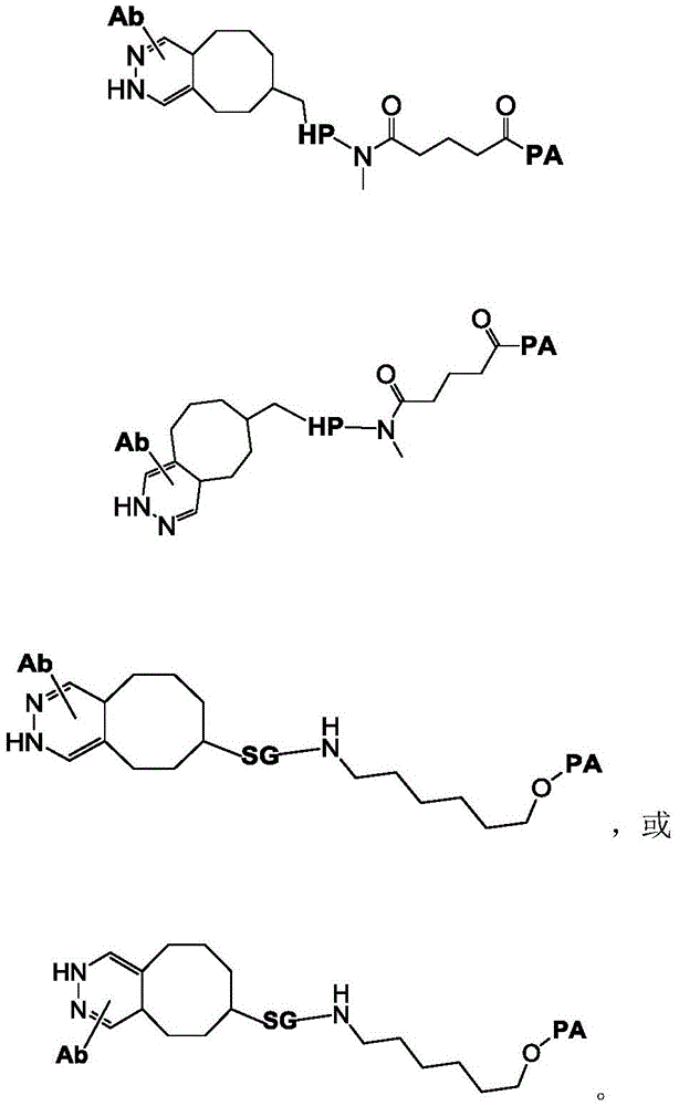 Figure BDA0003508738070000471