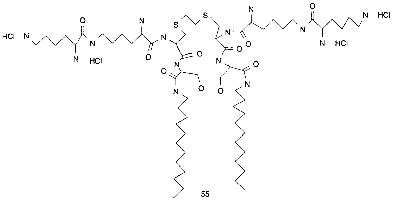 Figure imgf000024_0001
