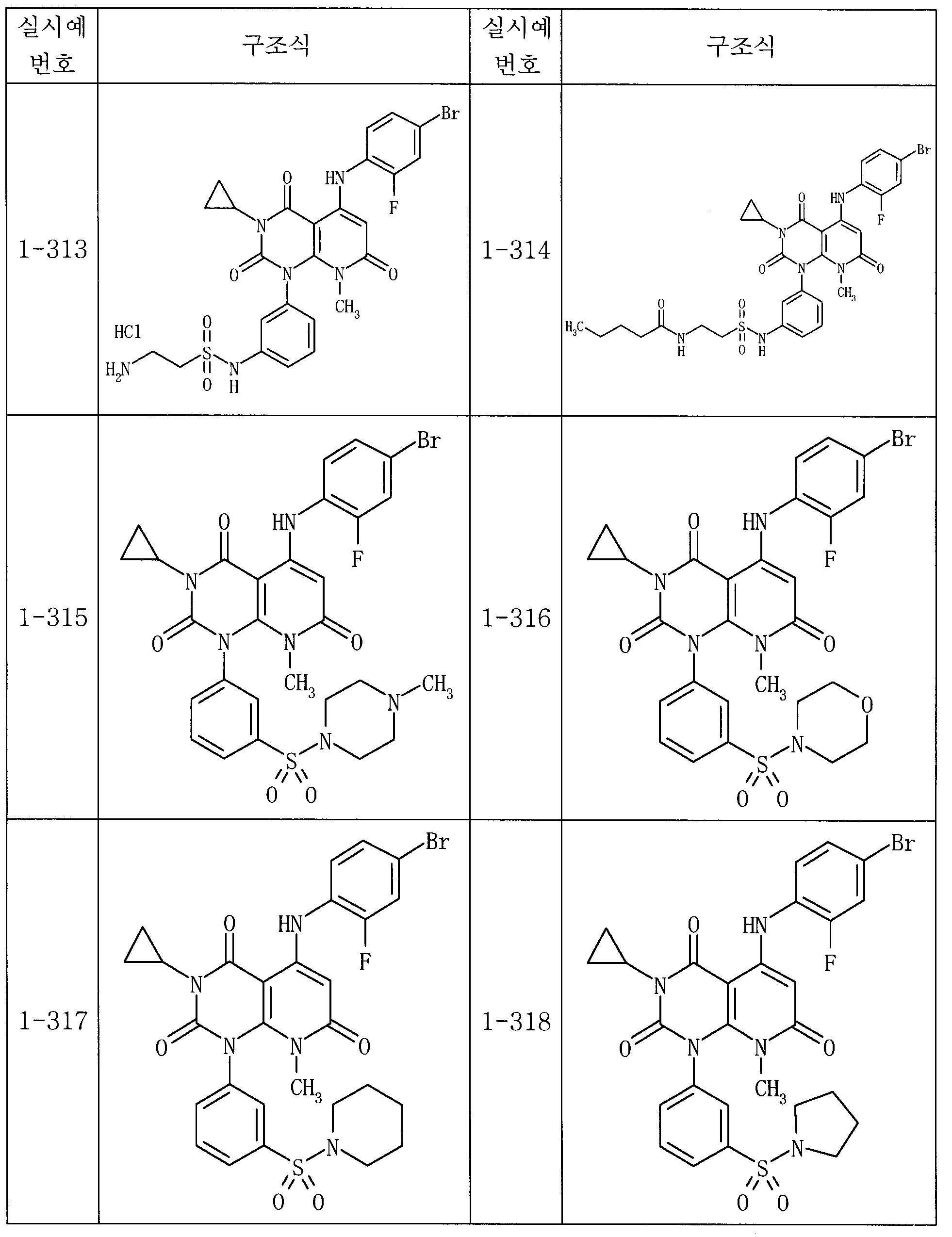 Figure 112007003005065-pct00105