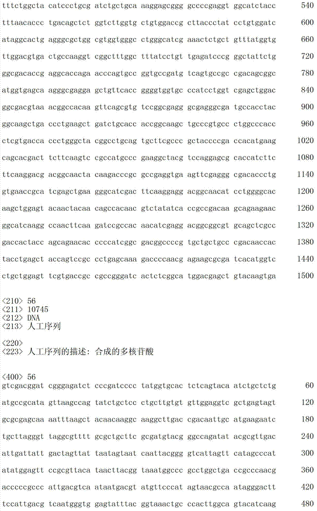 Figure IDA00003076741800451