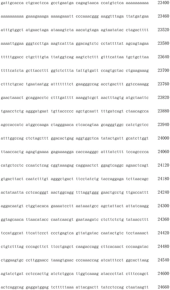 Figure IDA0003936212790001191