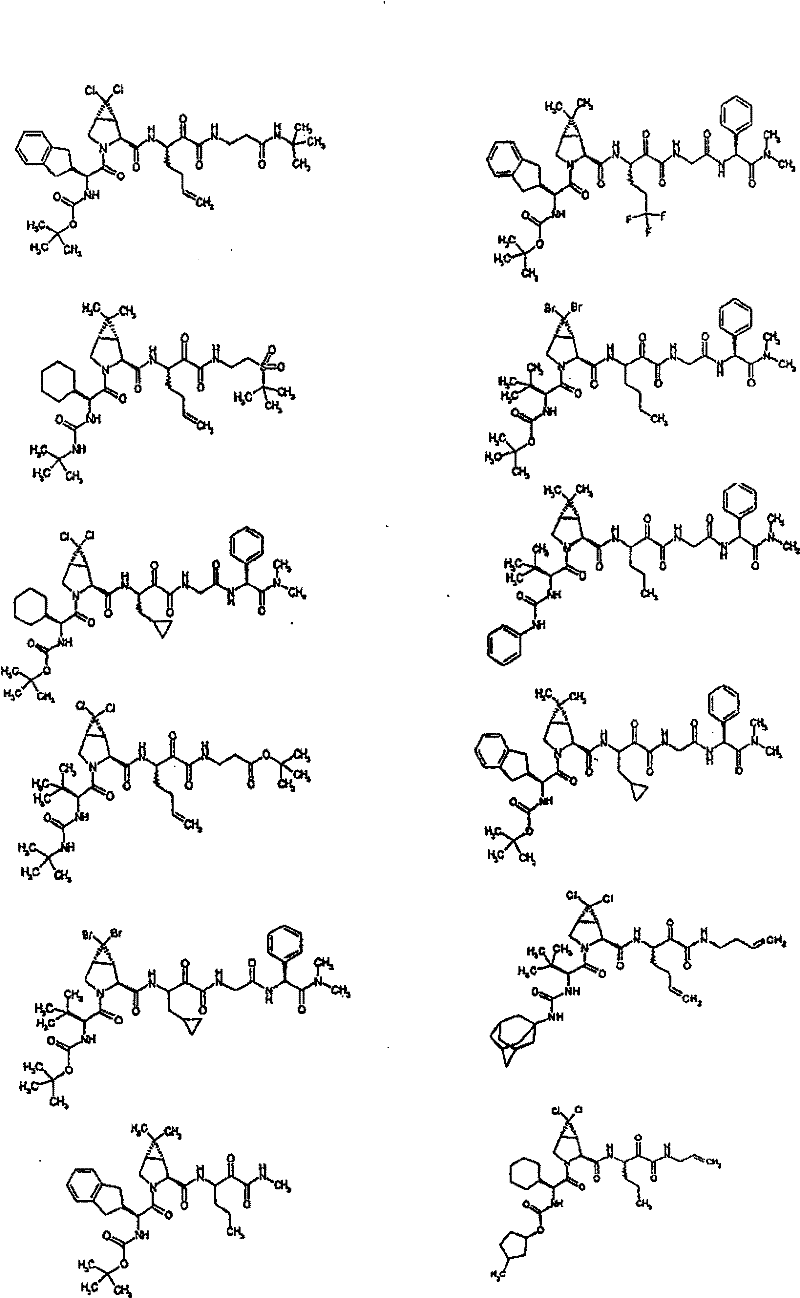 Figure BSA00000554725400571