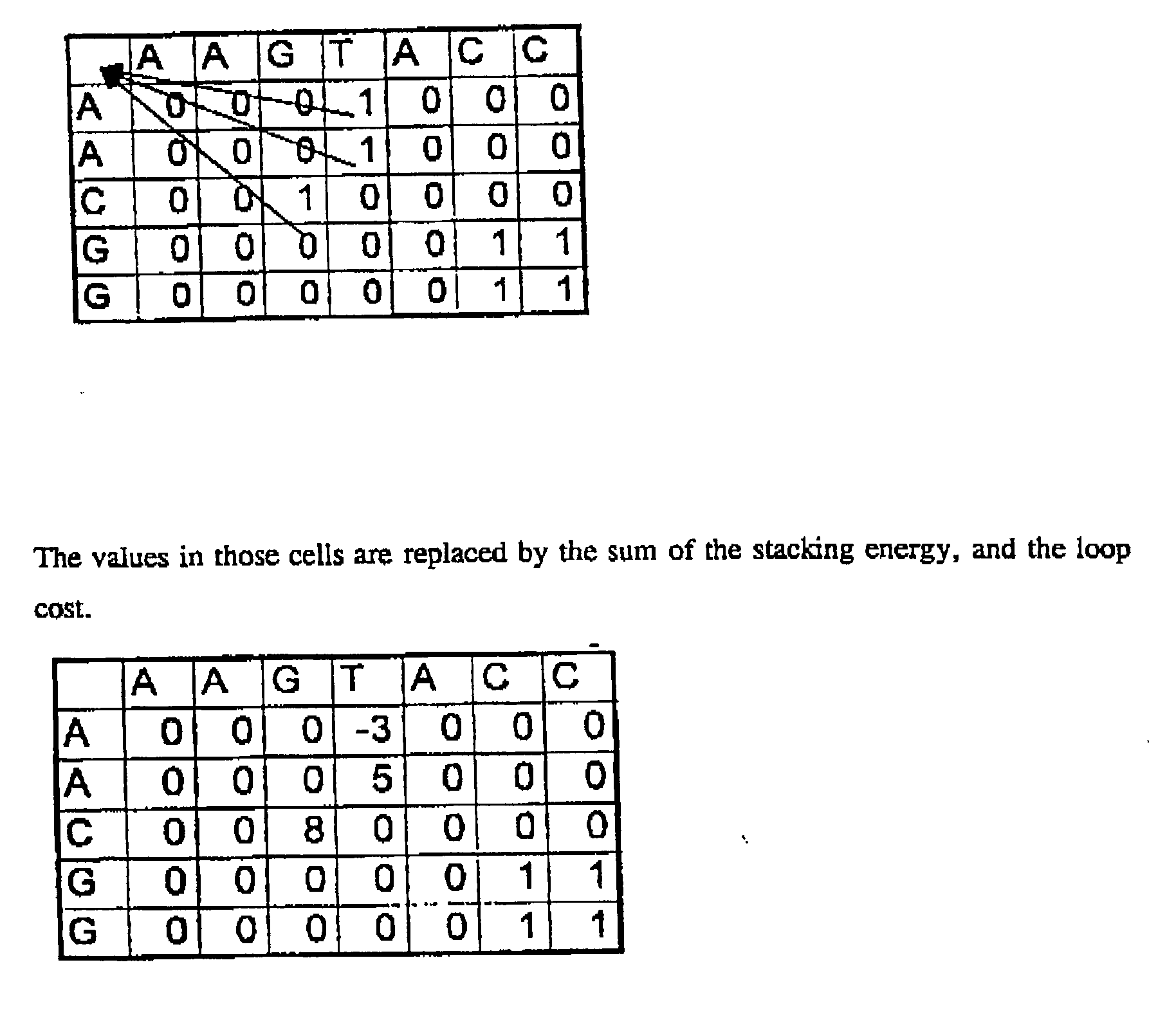 Figure US20030104436A1-20030605-P00001