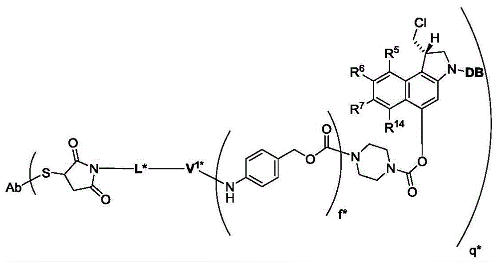 Figure GDA0002483706190002022