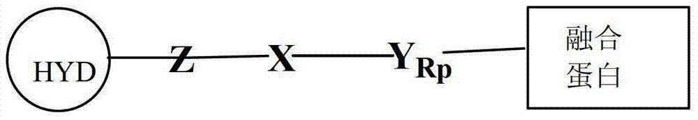 Figure FDA00003626100000064