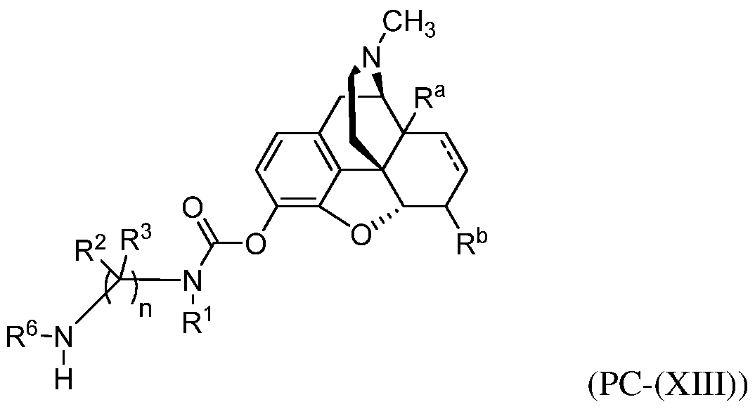 Figure imgf000013_0001