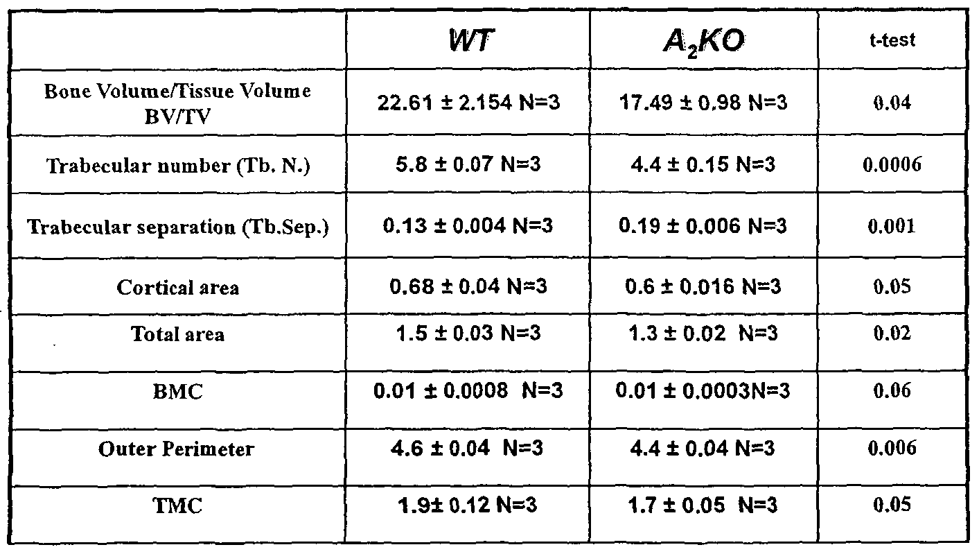 Figure imgf000041_0001