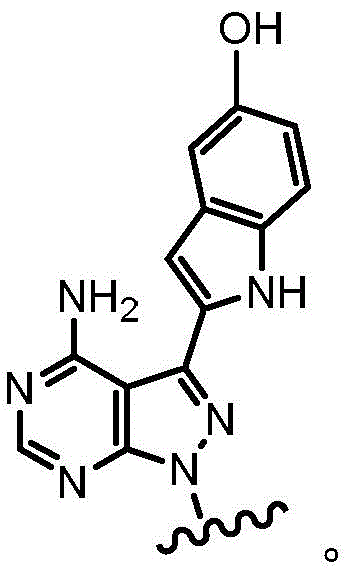 Figure FDA0003080200980000121