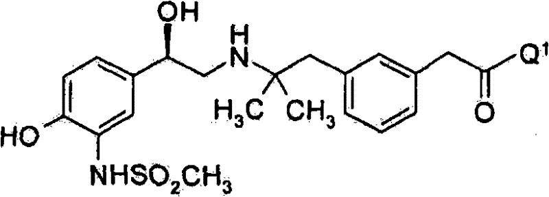 Figure BSA00000337359900101