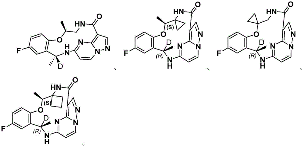 Figure FDA0003089933910000031