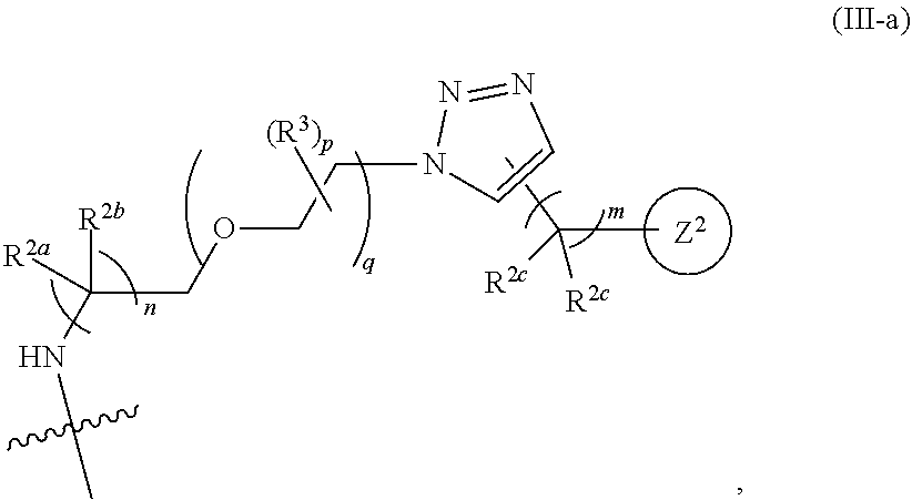 Figure US12161760-20241210-C00103