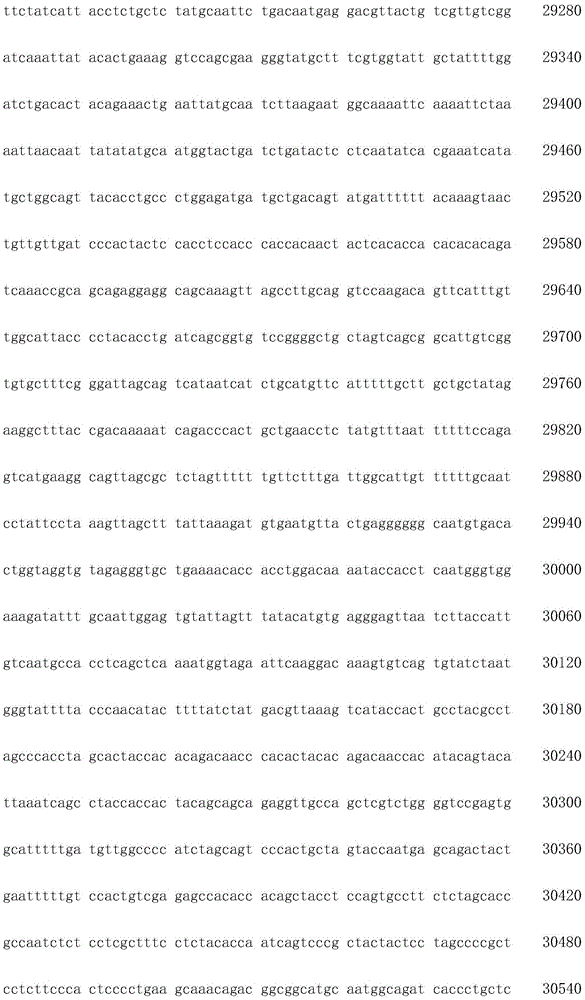 Figure IDA0002872168960001261