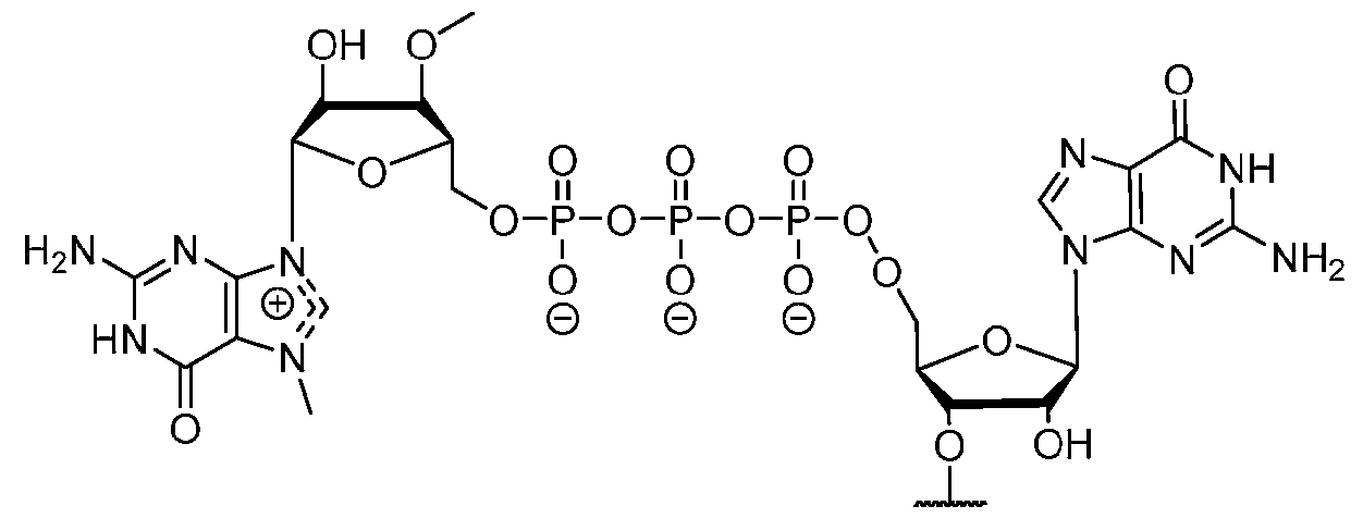 Figure imgf000132_0001