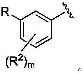 Figure BDA0002710254920000042