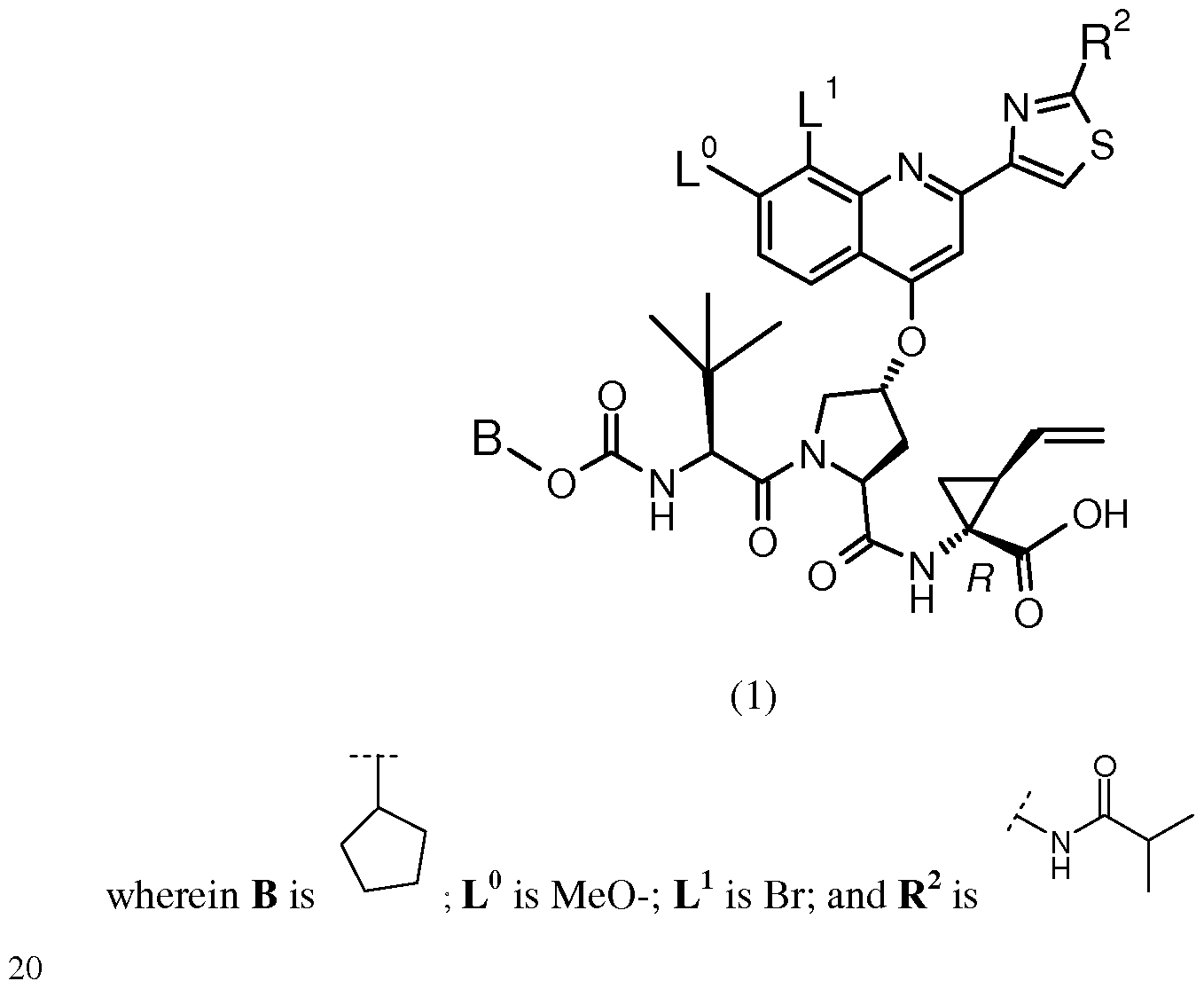 Figure imgf000002_0001