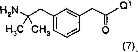 Figure BSA00000337359900024