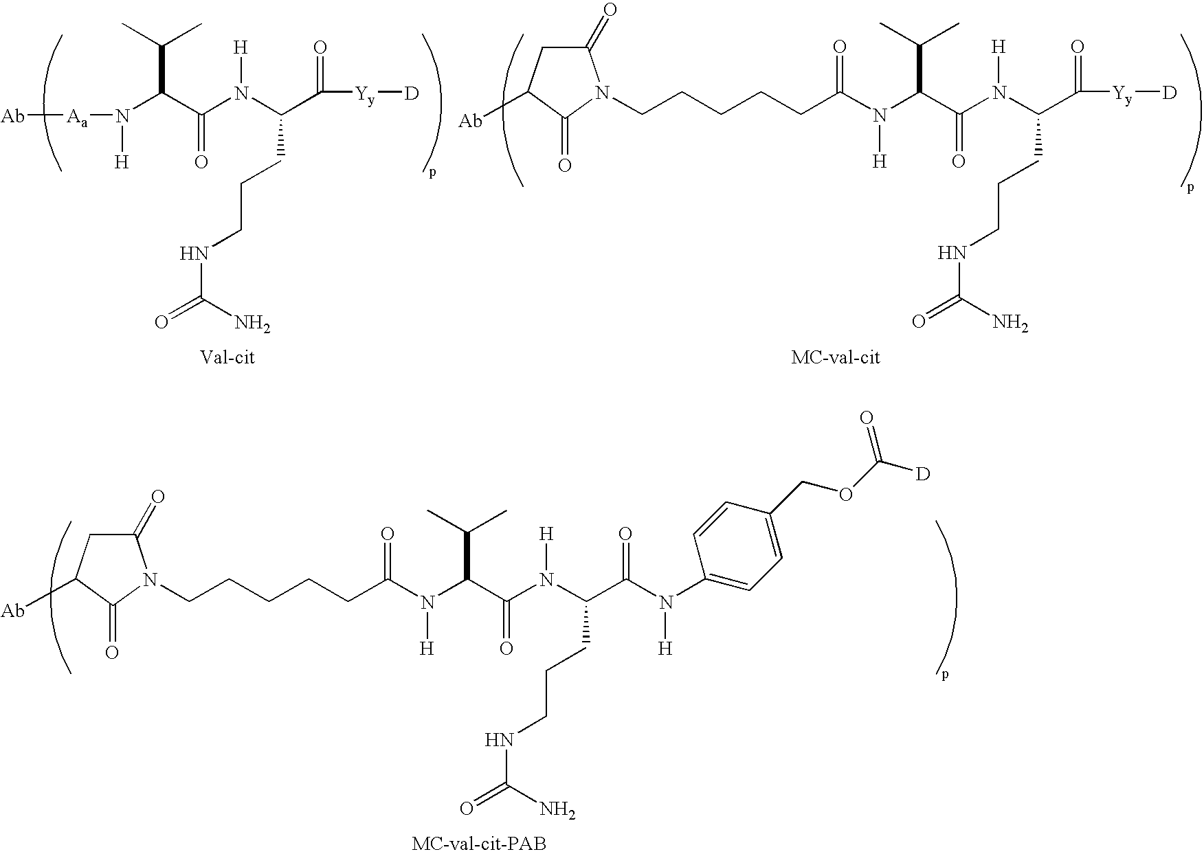 Figure US20060275305A1-20061207-C00008