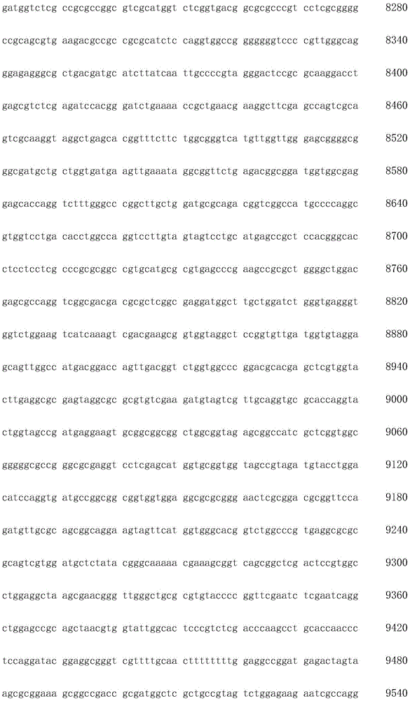 Figure IDA0002872168960001381