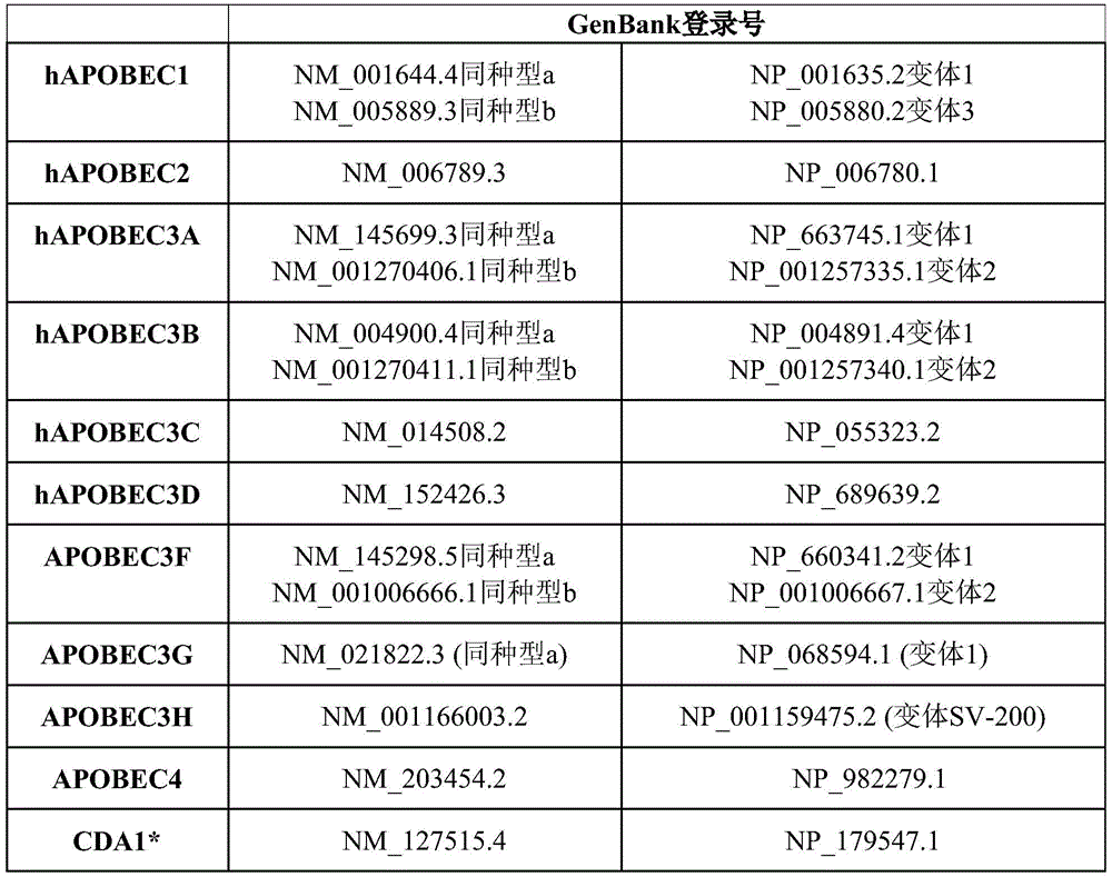 Figure BDA0002377046140000191