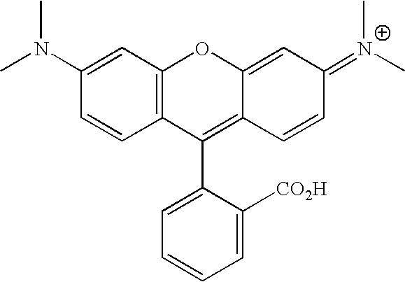 Figure US20070154927A1-20070705-C00042