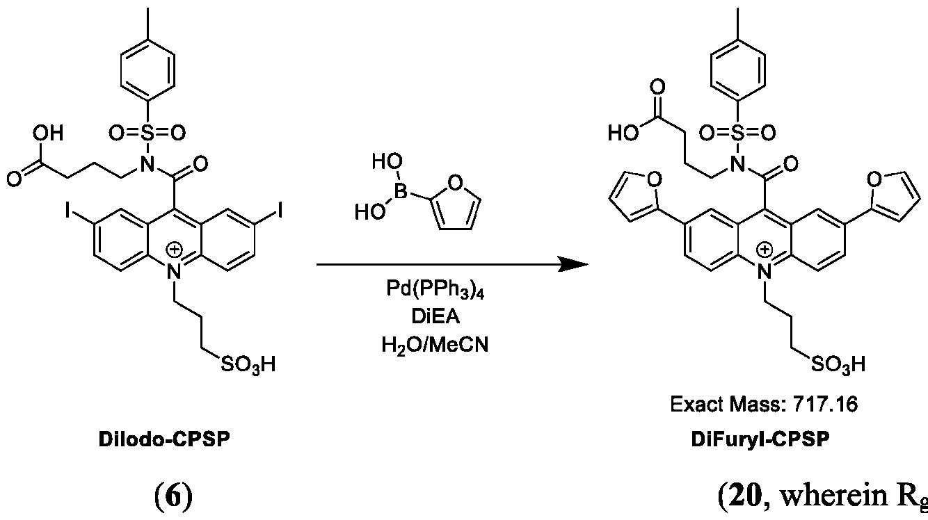 Figure imgf000196_0002
