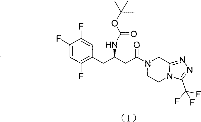 Figure FSA00000659481200011