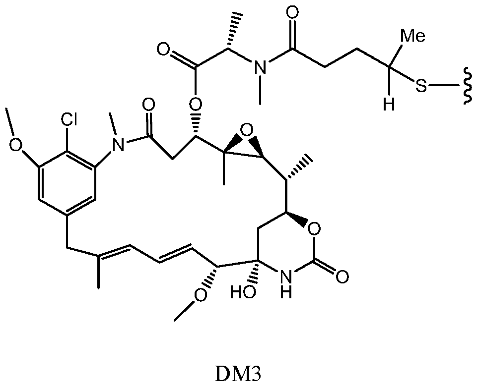 Figure imgf000037_0001